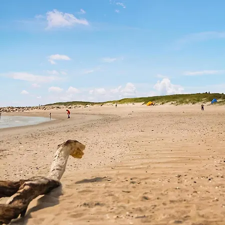 Lille Strandvej Xii ブラーバンド